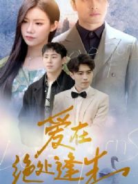 ���ھ�������