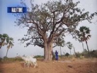 NBA������ ɭ����VS��ʿ 20250301