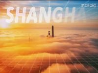 �Ϻ�����֮������������ �Ϻ���������VS�Ĵ���������ѡ�ζ� 20250714