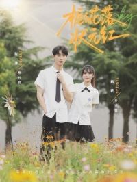 ���ӻ���״Ԫ��