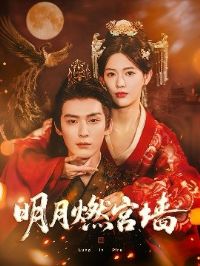 ����ȼ��ǽ