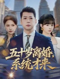 ��ʮ����飬ϵͳ����