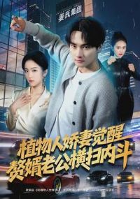 植物人娇妻觉醒,赘婿老公横扫内斗