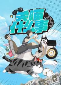 ����ʲô��