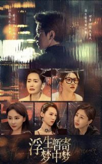 �����ݼ�������