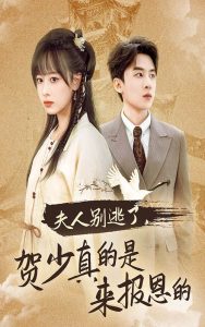 ���˱����˺����������������