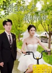 爱意燃尽,我转身高嫁