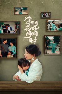 ����������Բʱ