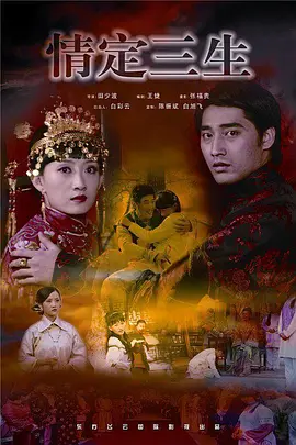 �鶨����2009