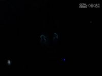 NBA�� ����VS������ 20241120