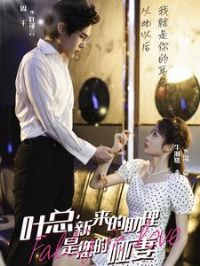 Ҷ����������������������