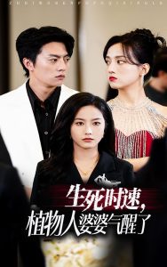 ����ʱ��ֲ��������������