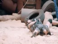 ¼ ɵvsƴﲻ÷ () 20231020