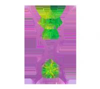 �������ޱ� ������vs�й�̨��20250807