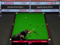 ˹ŵ�� ������2-4������ 20230927