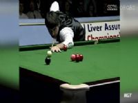 2023˹ŵ��Ӣ�����ʸ��� ��������������6-1���������տ����� 20231121