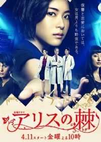 ����˿֮��