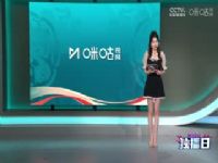 CBA��������19�� �ൺ������ҩVS������������ 20241219