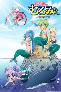 �������Ϲ�