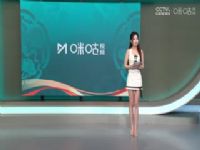 CBA��������38�� �½�������VS�㶫������ 20250310