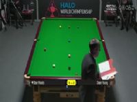 ˹ŵ���������ʸ���96��64  ˹̹���µ�10-3�϶�����ڶ��׶Σ� 20250411