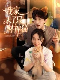 �Ҽ�����ֻ����è