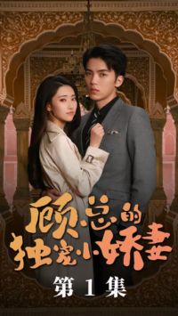 ���ܵ�˽��С����