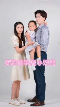 ���ܵ�˽��С����