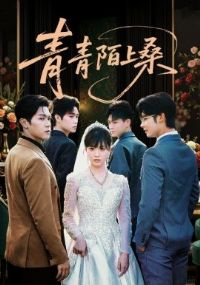 ����İ��ɣ