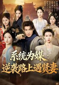 ϵͳΪý��Ϯ·��������