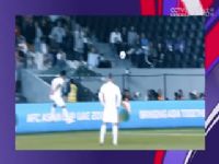 ���� ����÷����vs������ (����������) 20240114