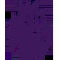 Ӣ�� ����ķvsˮ����20251208